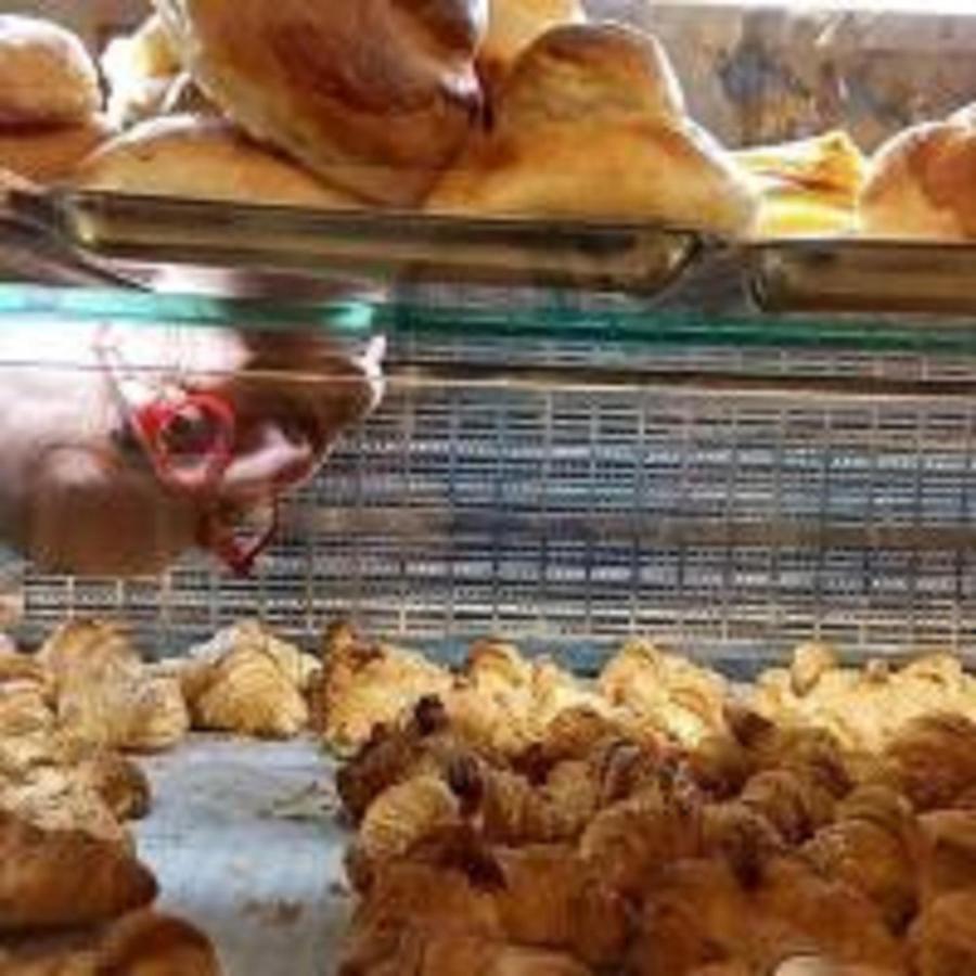 Guendalina Sweet Home - La Casetta Di Guendalina Trani Dış mekan fotoğraf